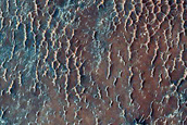 Candidate Recent Impact Site