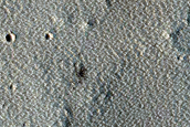 Candidate Recent Impact Site near Noctis Labyrinthus
