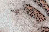 Dune Monitoring in Crater