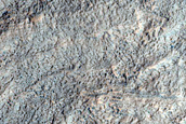 Crater Floor in Hellas Planitia