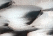 Dune Monitoring in Lyot Crater