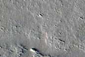 Tharsis Region Dust Storm Monitoring