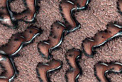 Dune Monitoring in Crater