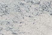 Candidate Recent Impact Site