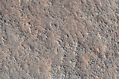 Layered Feature in Crater in Protonilus Mensae