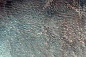 Knobs on Acidalia Mensa