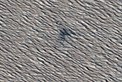 Candidate Recent Impact Site