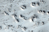 Flow Surface with Cones in Tartarus Colles