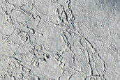 Candidate Recent Impact Site