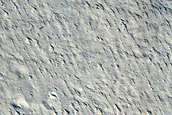 Candidate Recent Impact Site