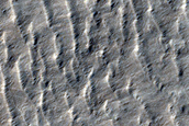 Barchanoid Dunes in Hellas Planitia