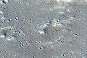 Candidate Recent Impact Site near Uranius Mons