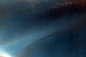 Dune Monitoring in Moreux Crater