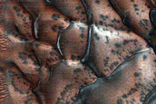 Dune Monitoring in Crater