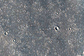 Candidate Recent Impact Site