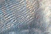 Landforms South of Isidis Planitia
