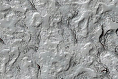 Monitoring of South Polar Residual Cap Albedo Features
