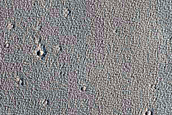 Candidate New Impact in Noctis Labyrinthus