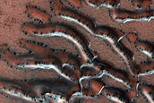 Dune Monitoring