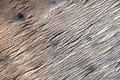 South Polar Region Cryptic Terrain Margin in Reynolds Crater