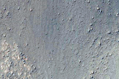 Gully Monitoring
