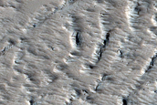Flow Field Terrain Sample