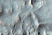 Gully Topography