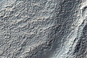 Channel Network on Wall of South Mid Latitude Crater in Terra Cimmeria
