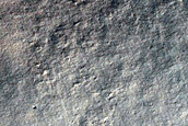 Gully Monitoring