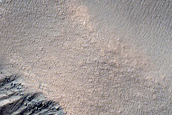 Gully Monitoring