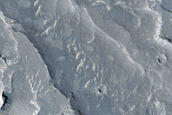 Elysium Planitia Sample