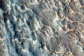 Gully Monitoring