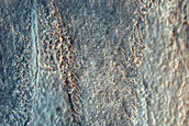 Gully Monitoring