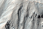 Gully Monitoring