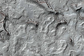 Monitoring of South Polar Residual Cap Albedo Features