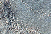 Gullies in Crater in Basin in Noachis Terra