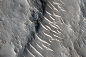 Curvilinear Ridge in Isidis Planitia