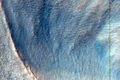 Gully Monitoring