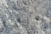 Western Arabia Terra Crater Secondary Craters