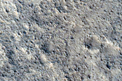 Western Arabia Terra Crater Secondary Craters