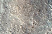 Layered Features in Craters in Protonilus Mensae