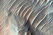 Phyllosilicate-Rich Terrain in Nirgal Vallis Wall
