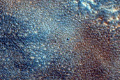 Pitted Northern Plains