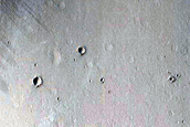 Candidate New Impact in Tuscaloosa Crater Wall