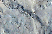Dark and Bright Slope Streaks in Arabia Terra