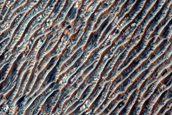 Sinuous Ridge in Terra Sabaea