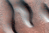 Dune Monitoring