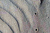 Candidate New Impact in Noctis Labyrinthus