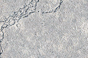 Lava-Draped Craters in Cerberus Palus