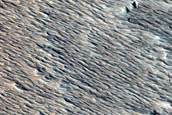 Monitoring New Impact Site